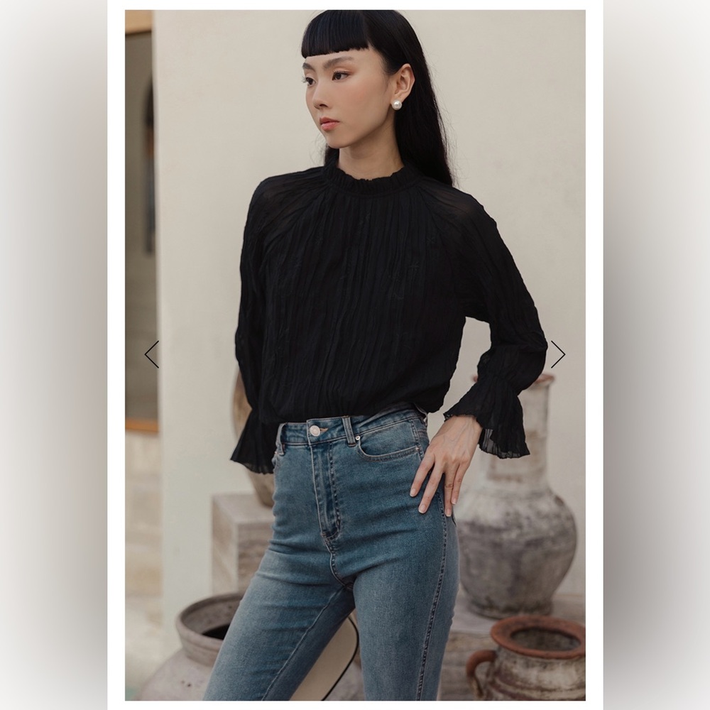 💫 Zara Embroidery Pleated Top - New 💫 - Picture 10 of 14